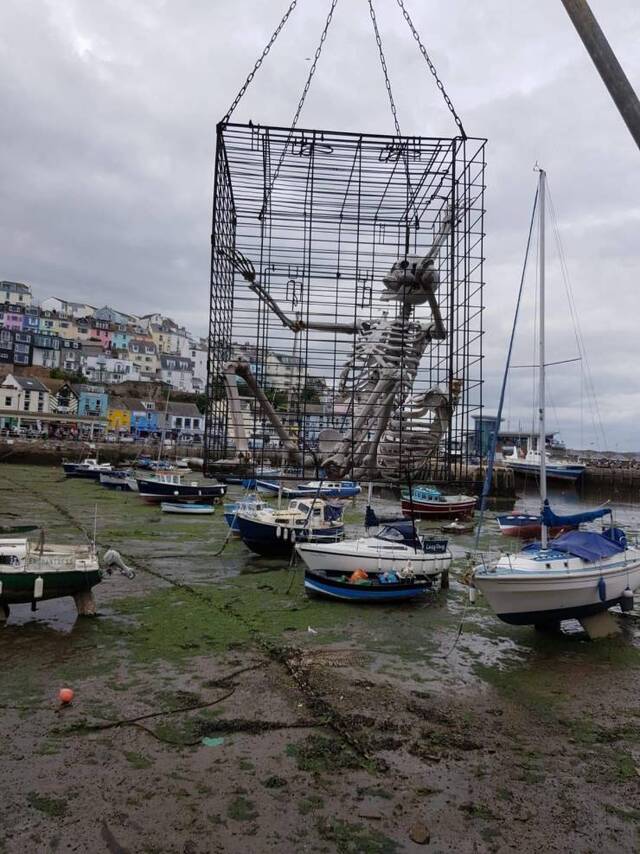 Bildschirmarbeiter - Picdump KW35 2020