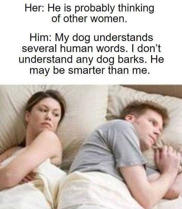 Bildschirmarbeiter - Picdump KW35 2020