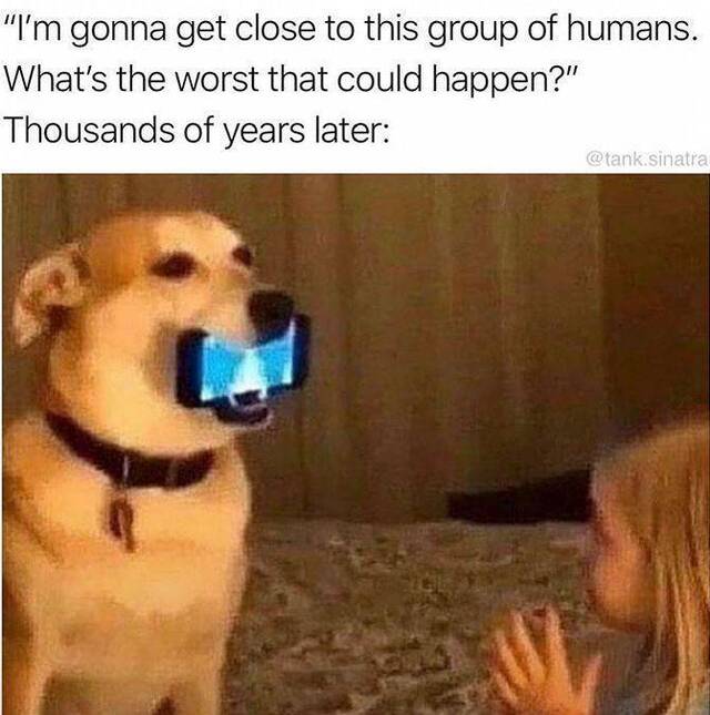 Bildschirmarbeiter - Picdump KW35 2020