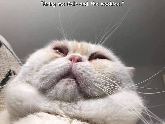 Bildschirmarbeiter - Picdump KW35 2020