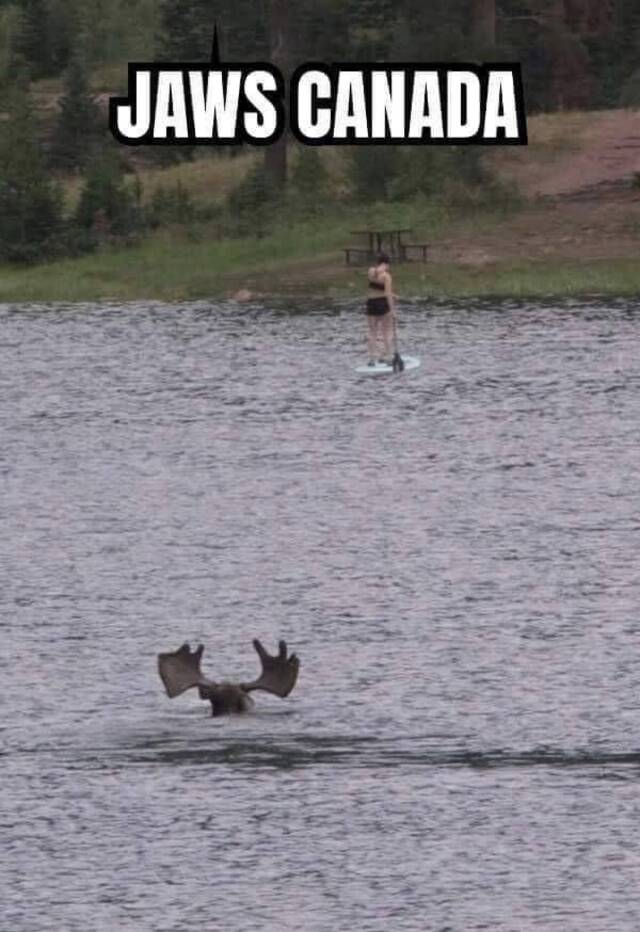 Bildschirmarbeiter - Picdump KW35 2020