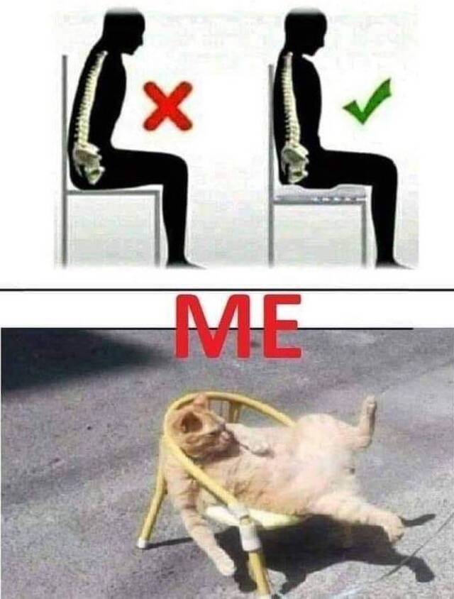 Bildschirmarbeiter - Picdump KW35 2020