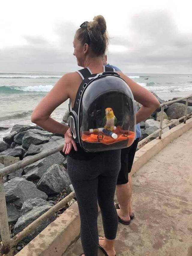 Bildschirmarbeiter - Picdump KW35 2020