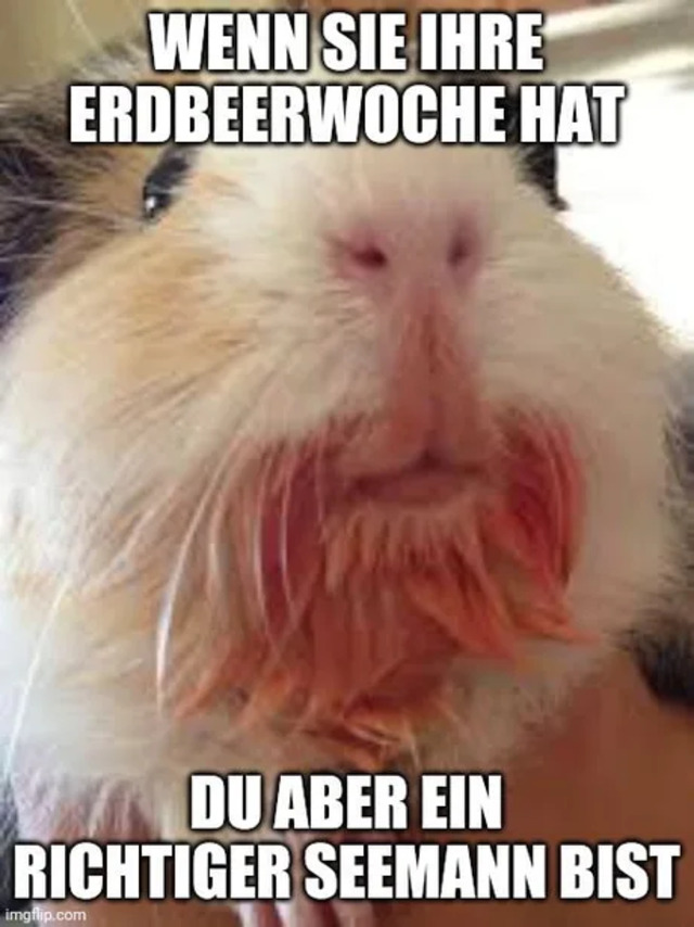 Bildschirmarbeiter - Picdump KW35 2021