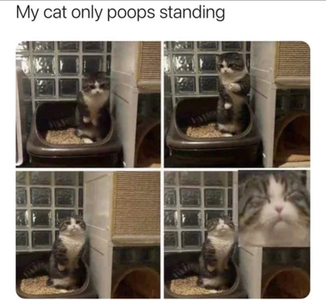 Bildschirmarbeiter - Picdump KW35 2021