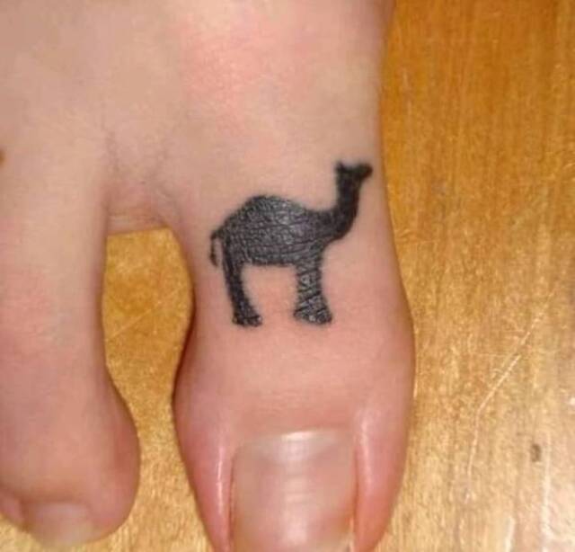 Bildschirmarbeiter - Picdump KW35 2021