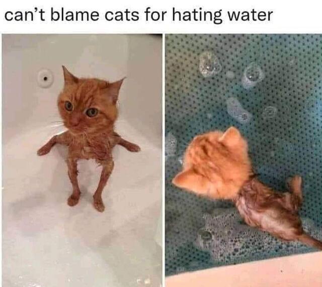 Bildschirmarbeiter - Picdump KW35 2021