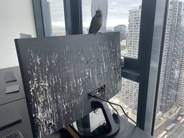 Bildschirmarbeiter - Picdump KW35 2021