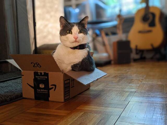 Bildschirmarbeiter - Picdump KW35 2021