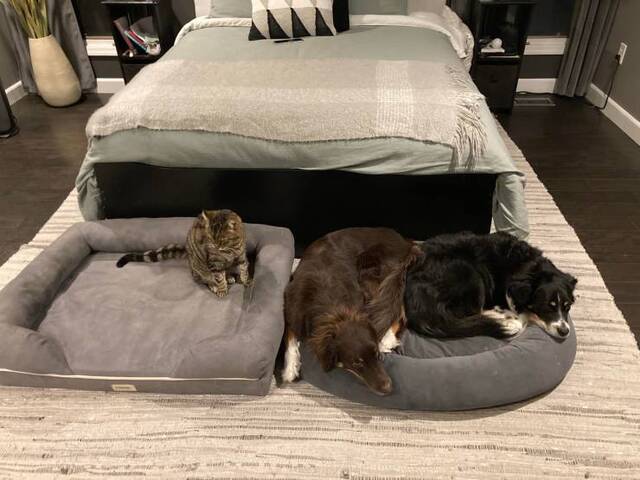 Bildschirmarbeiter - Picdump KW35 2021