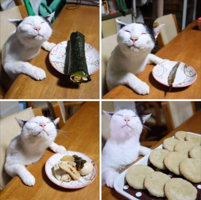 Bildschirmarbeiter - Picdump KW35 2021