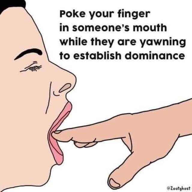 Bildschirmarbeiter - Picdump KW35 2021