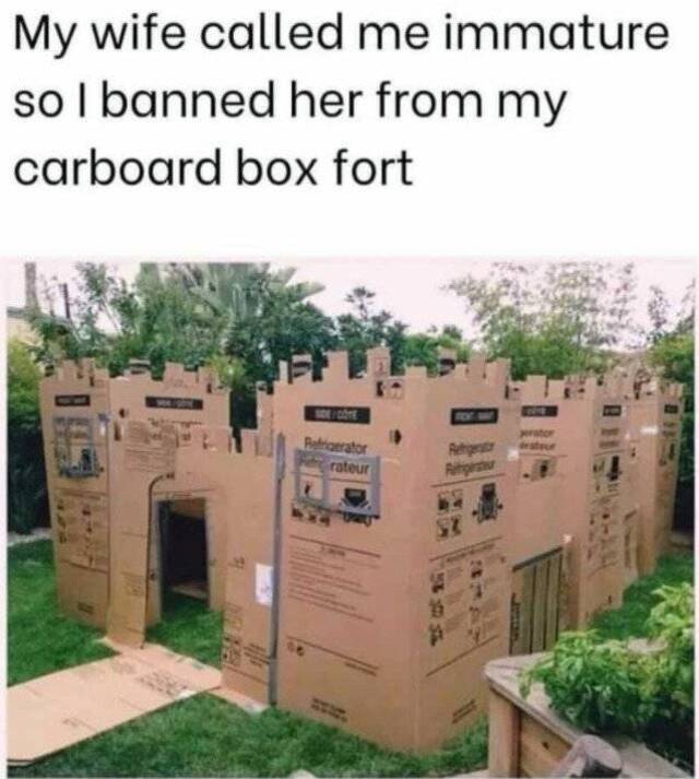 Bildschirmarbeiter - Picdump KW35 2021