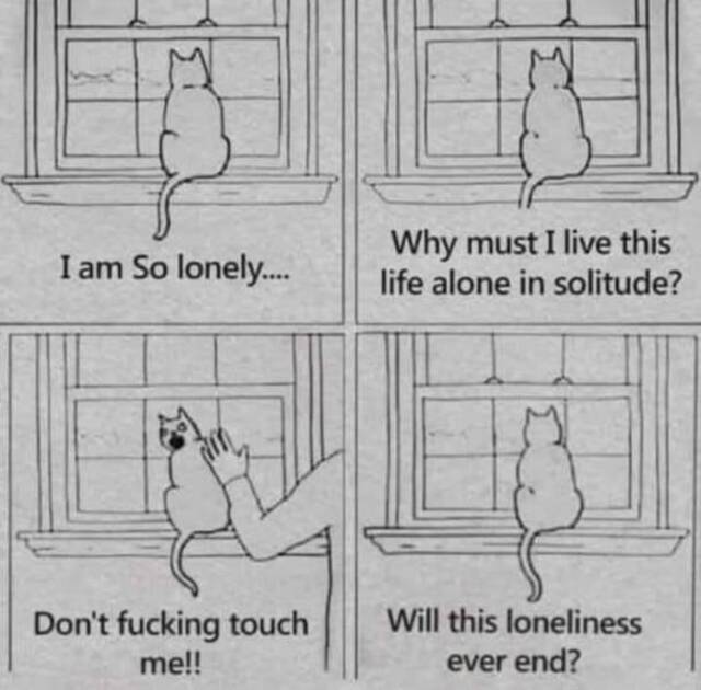 Bildschirmarbeiter - Picdump KW35 2021