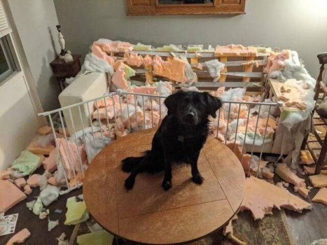 Bildschirmarbeiter - Picdump KW35 2021