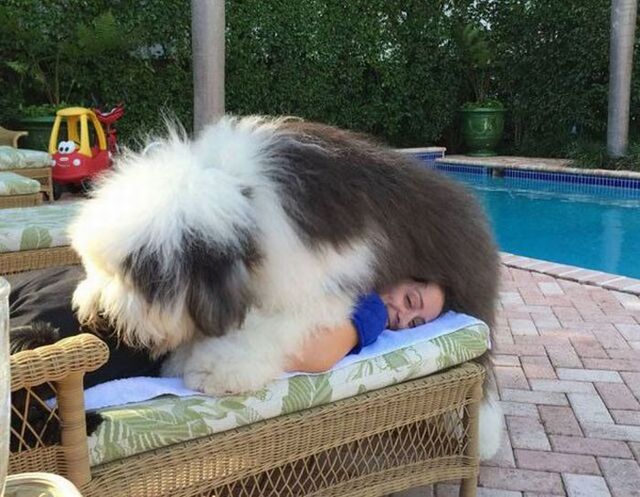 Bildschirmarbeiter - Picdump KW 35/2025