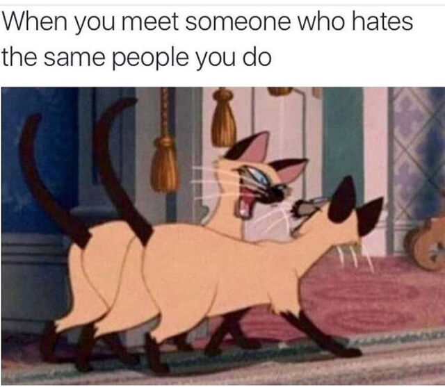 Bildschirmarbeiter - Picdump KW 35/2025