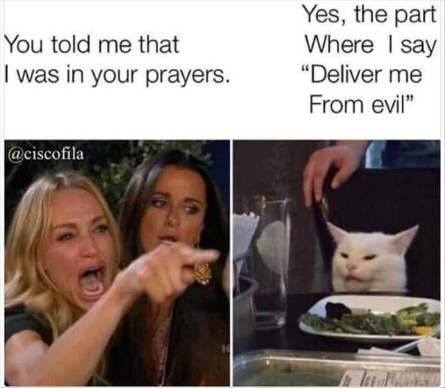 Bildschirmarbeiter - Picdump KW 35/2025