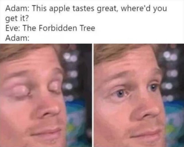 Bildschirmarbeiter - Picdump KW 35/2025