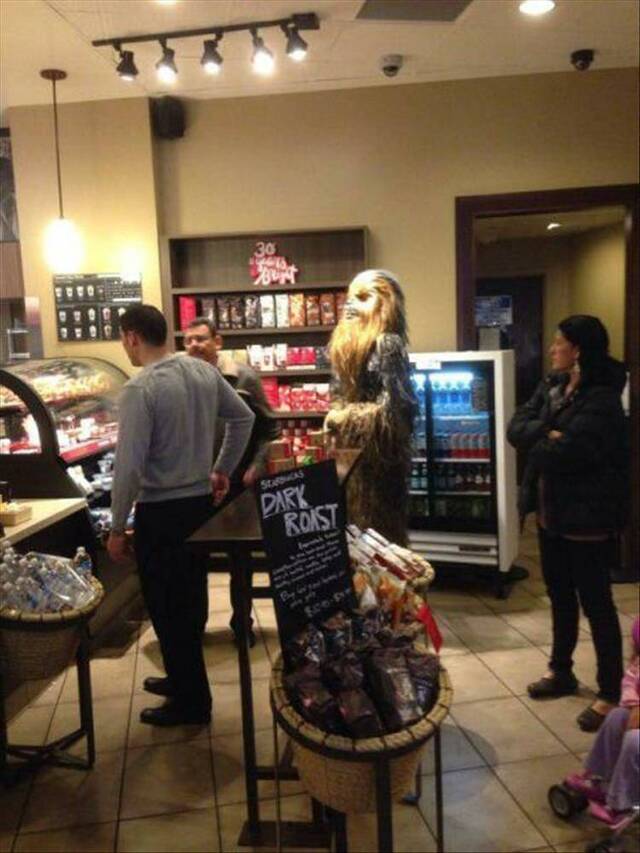 Bildschirmarbeiter - Picdump KW 35/2025