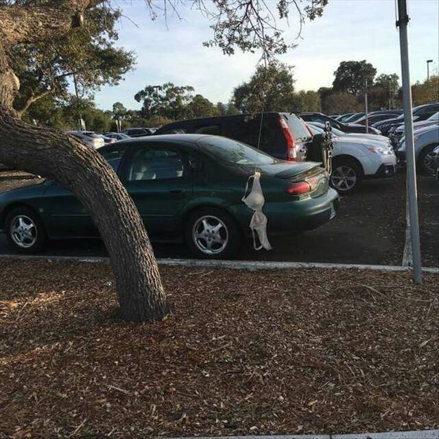 Bildschirmarbeiter - Picdump KW 35/2025