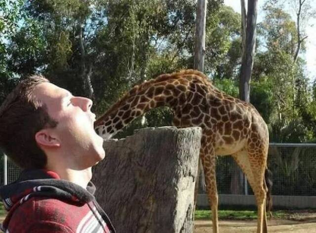 Bildschirmarbeiter - Picdump KW 35/2025