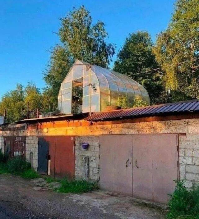 Bildschirmarbeiter - Picdump KW 35/2025