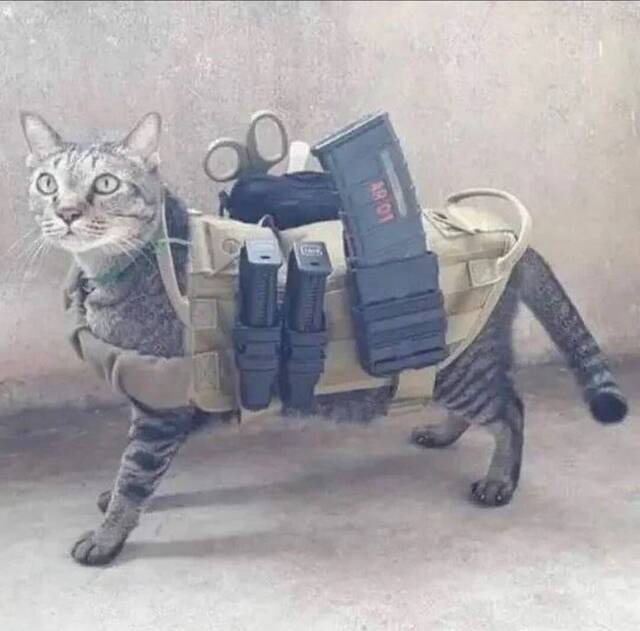 Bildschirmarbeiter - Picdump KW 35/2025