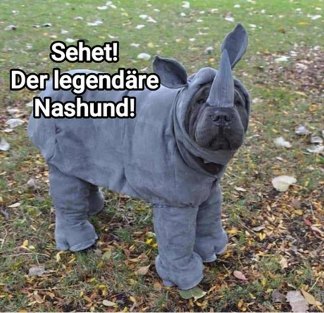 Bildschirmarbeiter - Picdump KW 35/2025