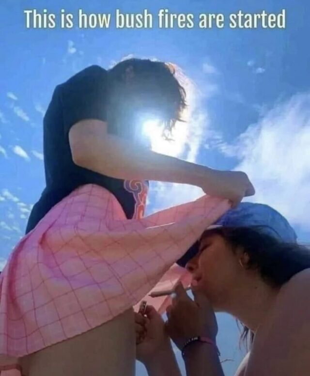 Bildschirmarbeiter - Picdump KW 35/2025