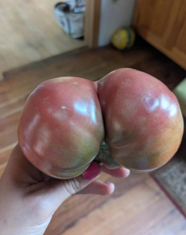 Bildschirmarbeiter - Picdump KW 35/2025