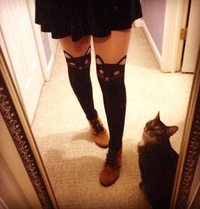 Bildschirmarbeiter - Picdump KW 35/2025