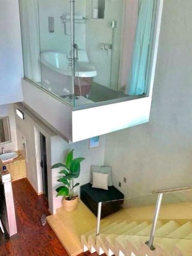 Bildschirmarbeiter - Picdump KW 35/2025