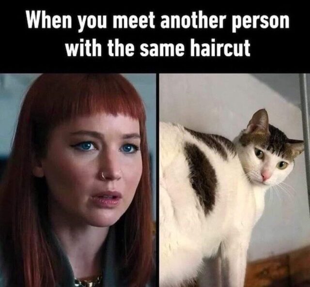 Bildschirmarbeiter - Picdump KW 35/2025