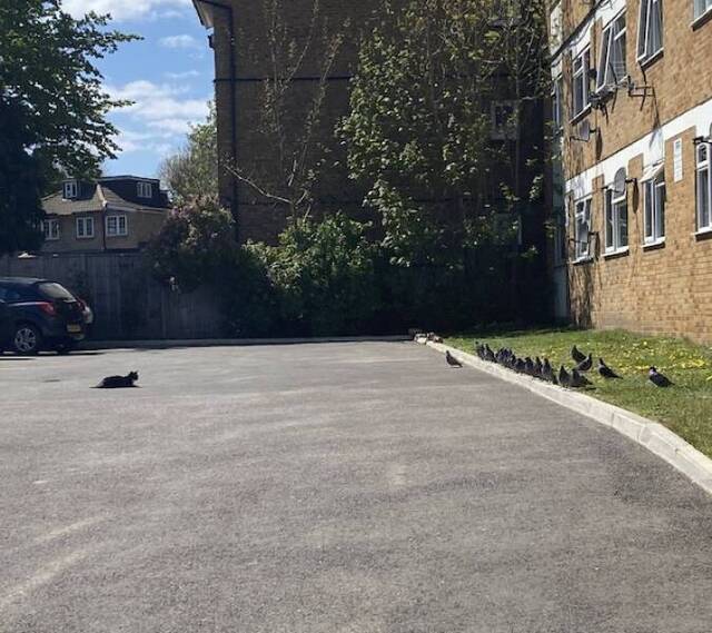 Bildschirmarbeiter - Picdump KW 35/2025