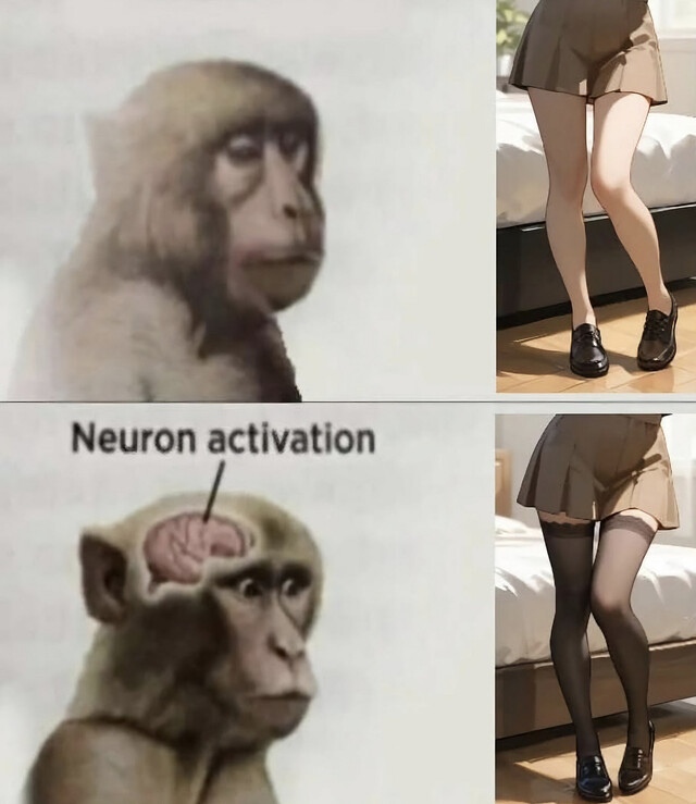 Bildschirmarbeiter - Picdump KW 35/2025