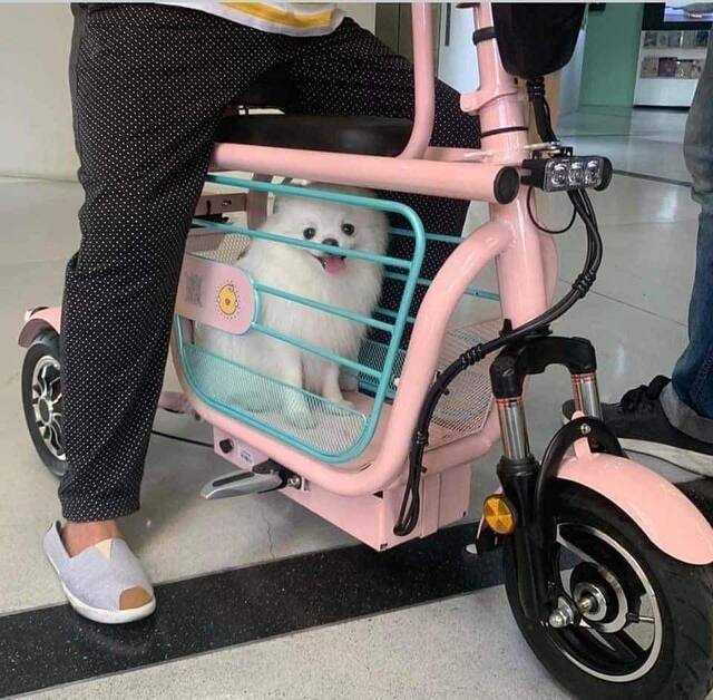 Bildschirmarbeiter - Picdump KW36 2020