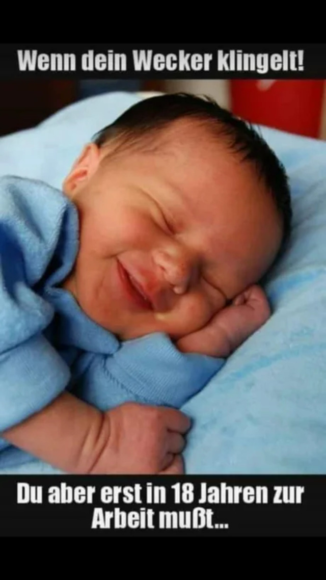 Bildschirmarbeiter - Picdump KW36 2020