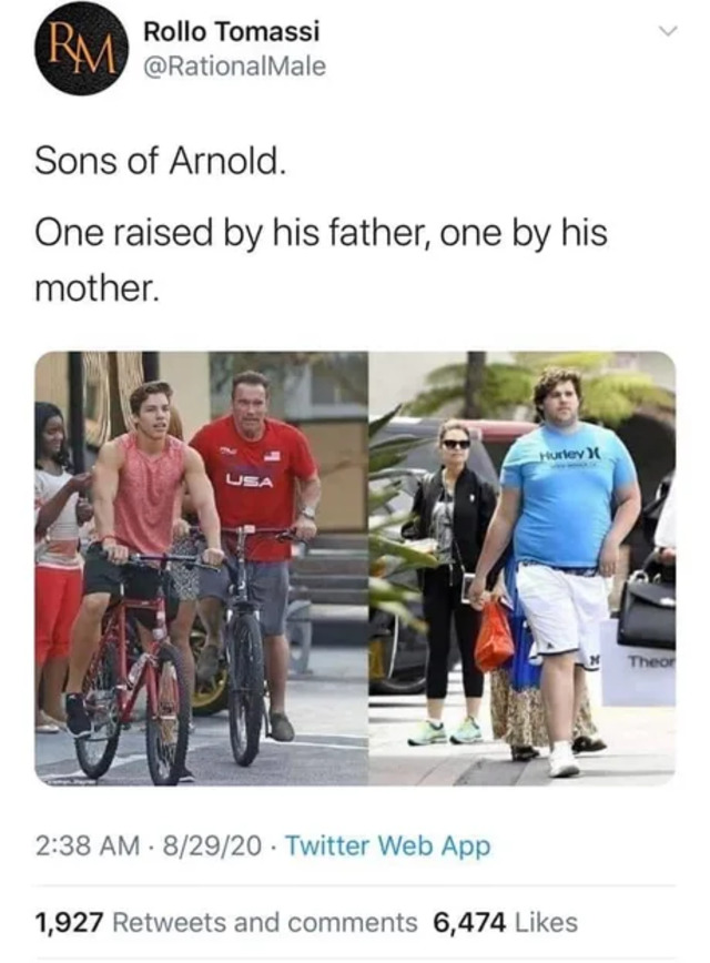 Bildschirmarbeiter - Picdump KW36 2020