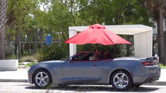 Bildschirmarbeiter - Picdump KW36 2020