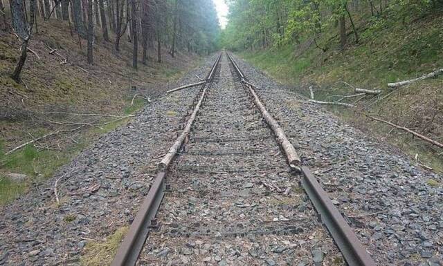 Bildschirmarbeiter - Picdump KW36 2020