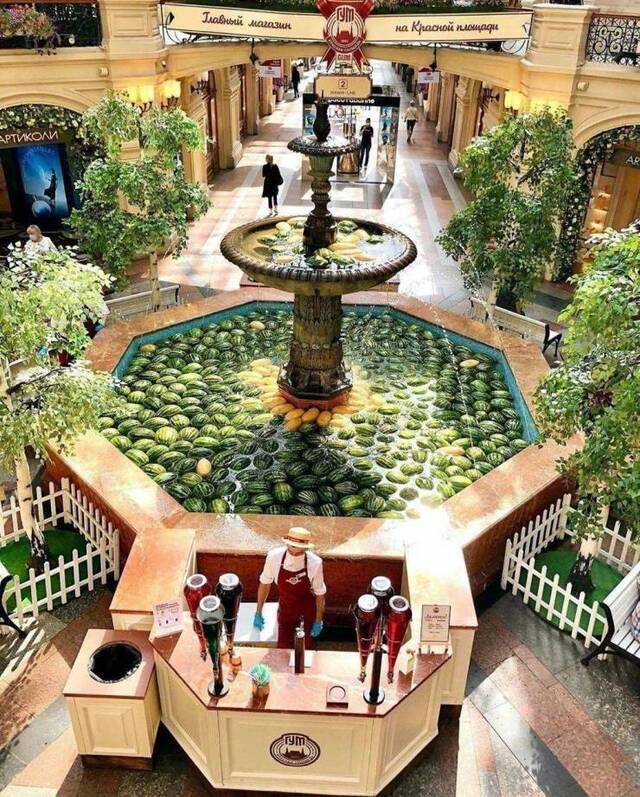 Bildschirmarbeiter - Picdump KW36 2020