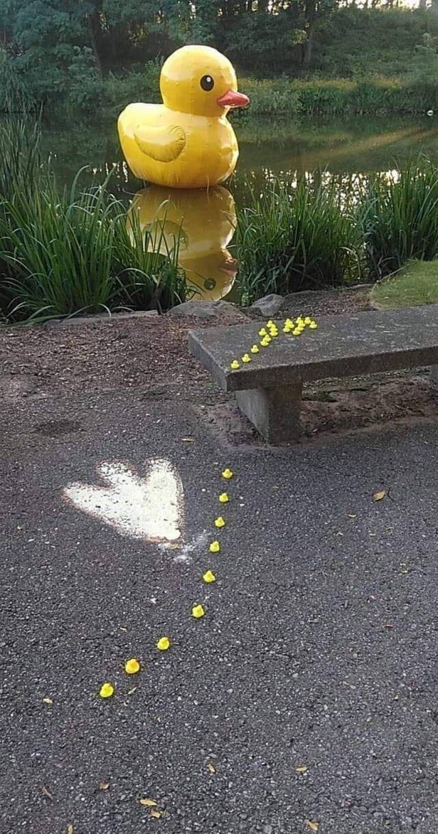 Bildschirmarbeiter - Picdump KW36 2020