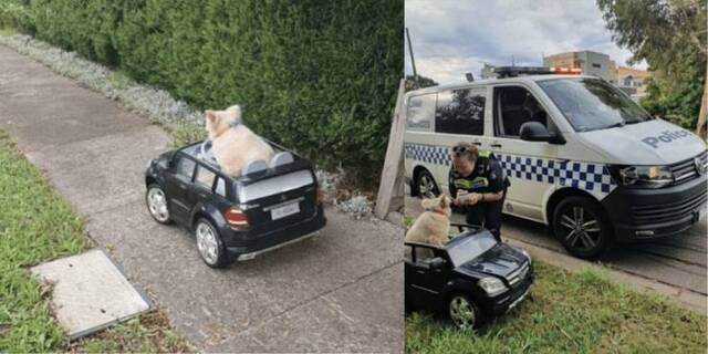 Bildschirmarbeiter - Picdump KW36 2020