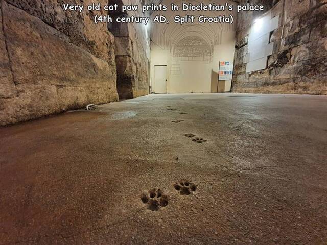 Bildschirmarbeiter - Picdump KW36 2020