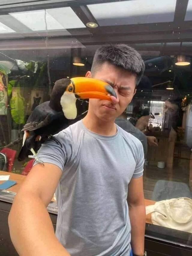 Bildschirmarbeiter - Picdump KW36 2020