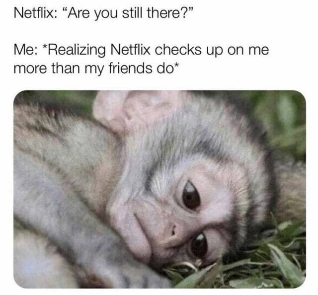 Bildschirmarbeiter - Picdump KW36 2020