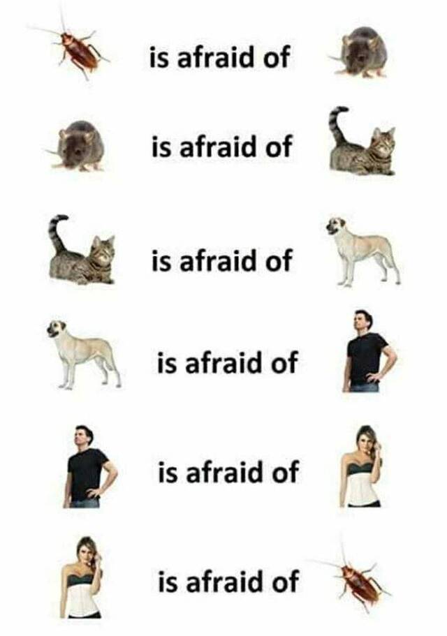 Bildschirmarbeiter - Picdump KW36 2020