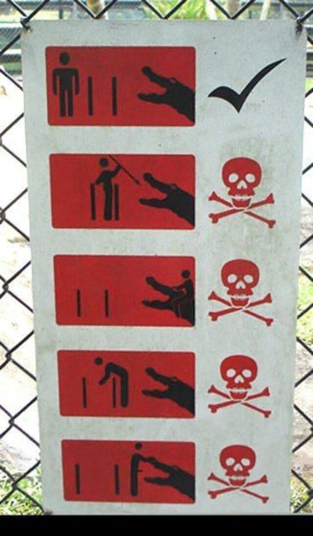 Bildschirmarbeiter - Picdump KW 36/2025