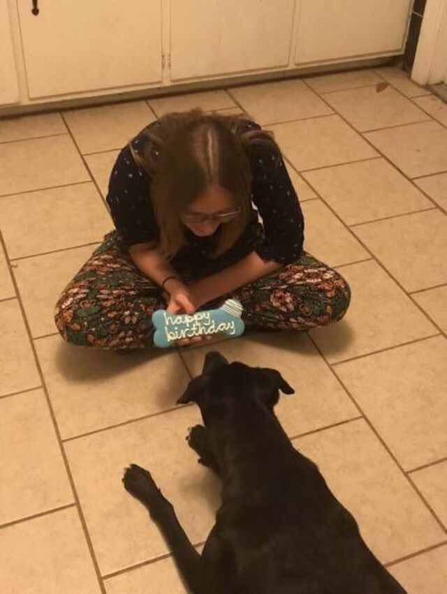 Bildschirmarbeiter - Picdump KW 36/2025